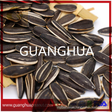 Best Quality 2021 Sunflower Seeds